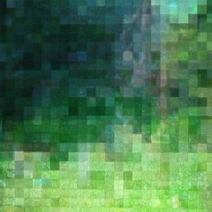 Erik Sanner: The Pixilated Garden (detail)